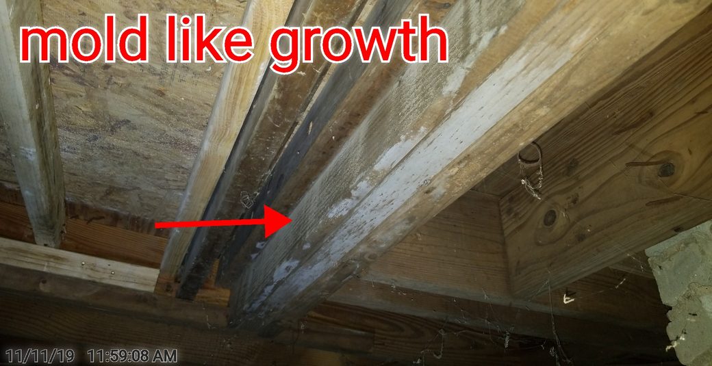Mold-like growth on the wood floor framing in the crawlspace