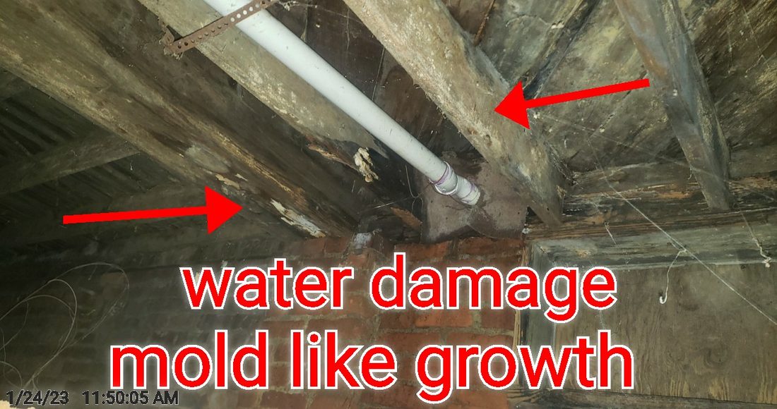 Water-damaged floor framing and subfloor in the crawlspace, with mold-like growth