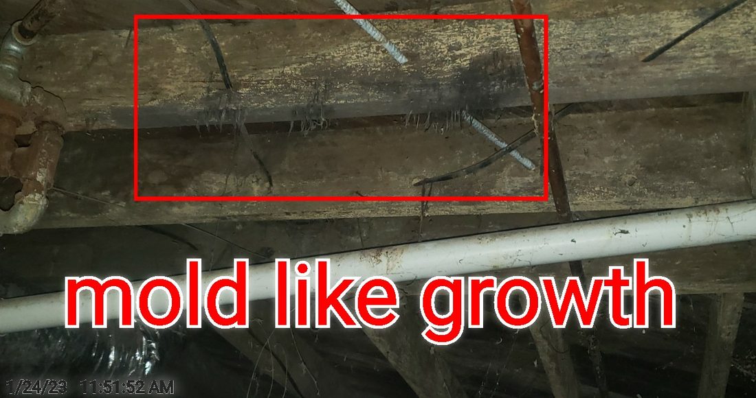 Mold-like growth on the wood floor framing in the crawlspace